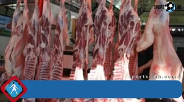 أسعار اللحوم اليوم الأربعاء 3-9-2025 في أسواق مطروح مباشر ب400 جنيه للكيلو